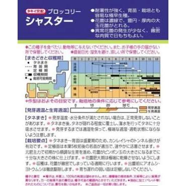 野菜種子 ブロッコリー「シャスター」 20ml（タキイ種苗）【送料込み】 芽花椰菜 メハナヤサイ めはなやさい 耐暑性 極早生の画像