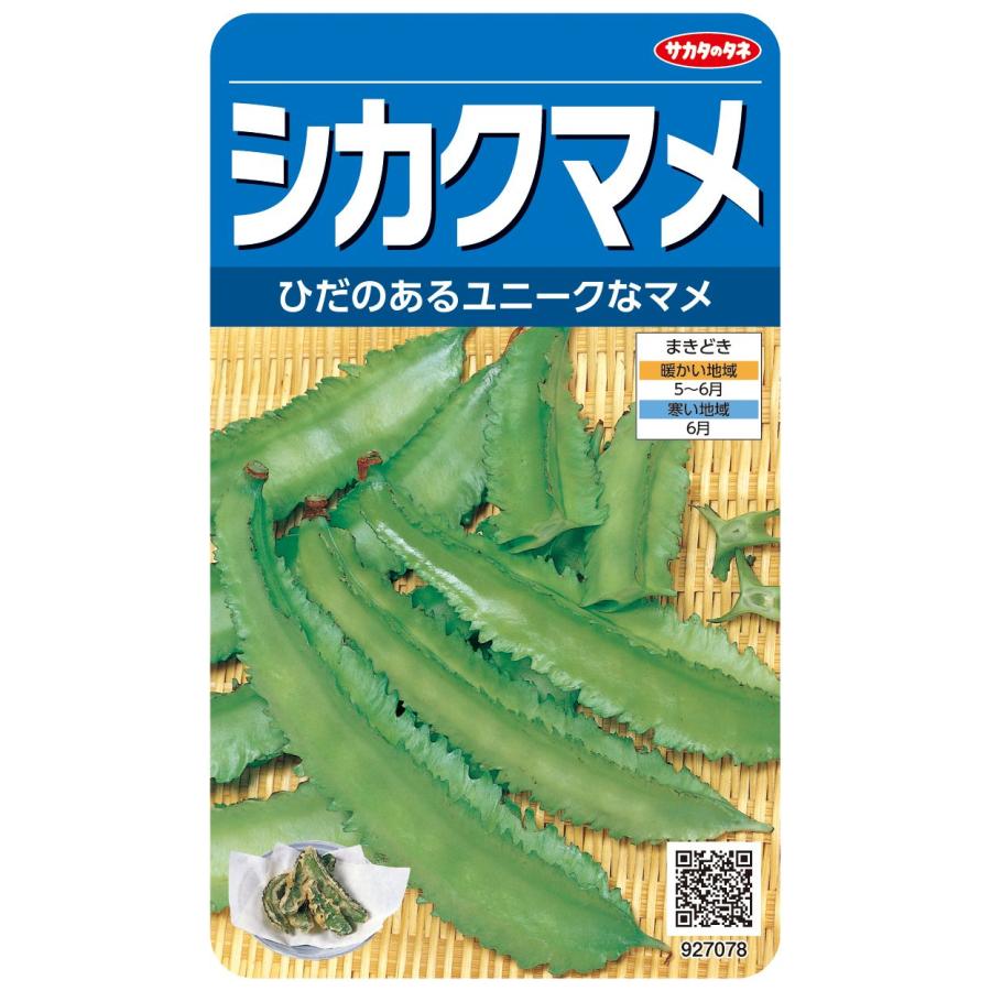 野菜種子 マメ「シカクマメ」 10ml（約15本分）（サカタのタネ）【送料込み】 しかくまめ 四角豆 高温性 短日性 うりずん豆 野菜 種 家庭菜園（Yahoo!・鈴乃園 Yahoo!ショッピング店）