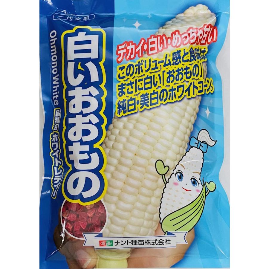 ナント種苗 白いおおもの スイートコーン 種 種子 2000粒 野菜種子 スイートコーン「白いおおもの」2000粒（ナント種苗）【送料