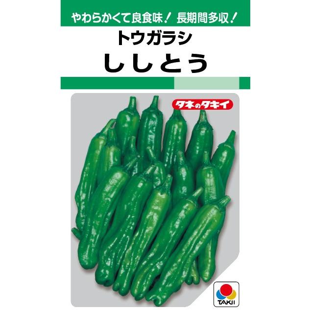 野菜種子 極多収トウガラシ「ししとう」 135粒（タキイ種苗）【送料