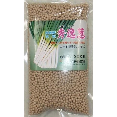 野菜種子 ネギ「秀逸葱」 2Lコート5,000粒（武蔵野種苗園）【送料込み