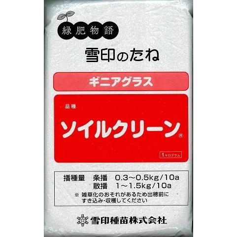 緑肥種子 ギニアグラス「ソイルクリーン」 1kg（雪印種苗）【送料込み