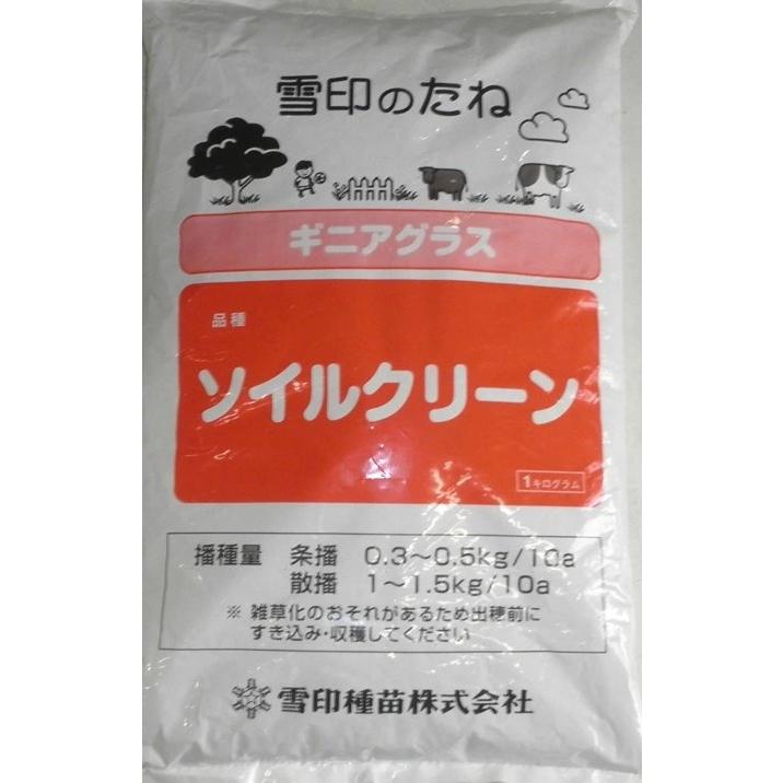 緑肥種子 ギニアグラス「ソイルクリーン」 1kg（雪印種苗）【送料込み