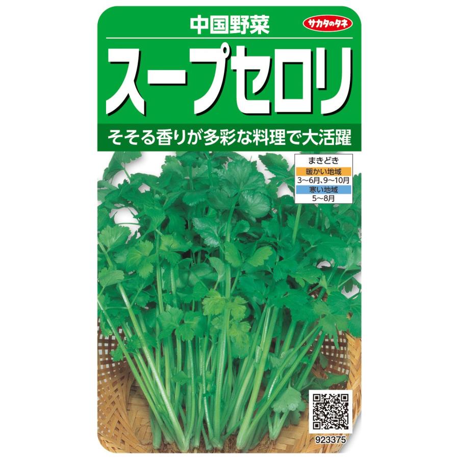 野菜種子 中国野菜「スープセロリ」 3ml（サカタのタネ）【送料込み】 セルリー 芹菜 キンツァイ キンサイ 中国・広東セロリ : 鈴乃園 ...