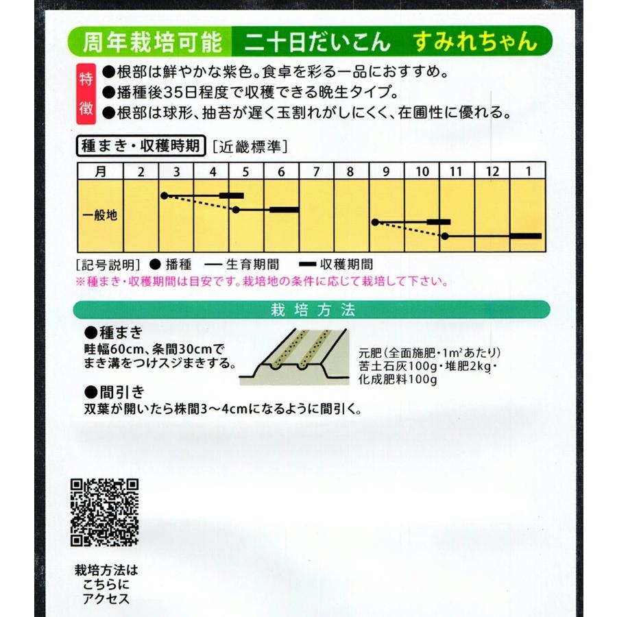 野菜種子 二十日だいこん「すみれちゃん」 2dl（大和農園）【送料込み】 スミレチャン 二十日大根 はつかだいこん ハツカダイコン 周年栽培 晩生 在圃性の画像