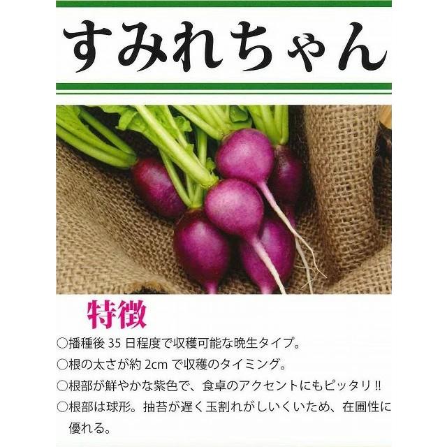 野菜種子 二十日だいこん「すみれちゃん」 2dl（大和農園）【送料込み】 スミレチャン 二十日大根 はつかだいこん ハツカダイコン 周年栽培 晩生 在圃性の画像