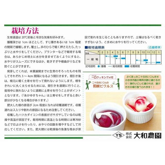 野菜種子 二十日だいこん「すみれちゃん」 2dl（大和農園）【送料込み】 スミレチャン 二十日大根 はつかだいこん ハツカダイコン 周年栽培 晩生 在圃性の画像