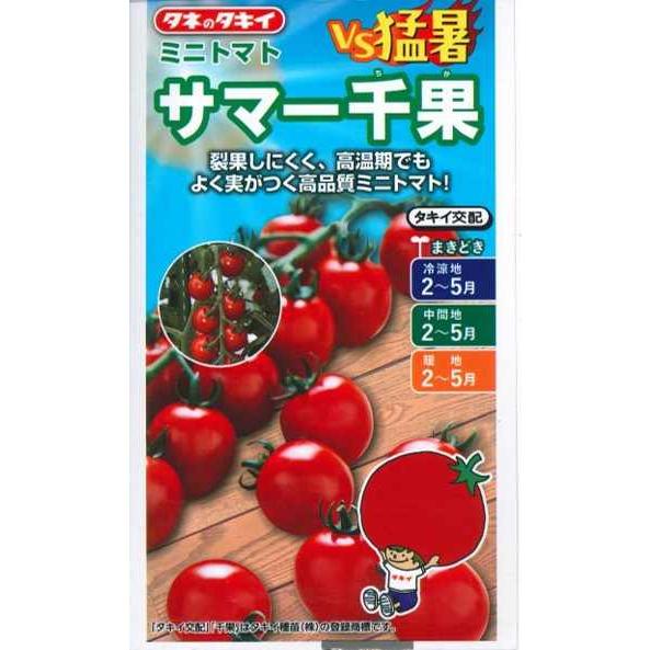 野菜種子 高品質ミニトマト「サマー千果」 7粒（タキイ種苗）【送料