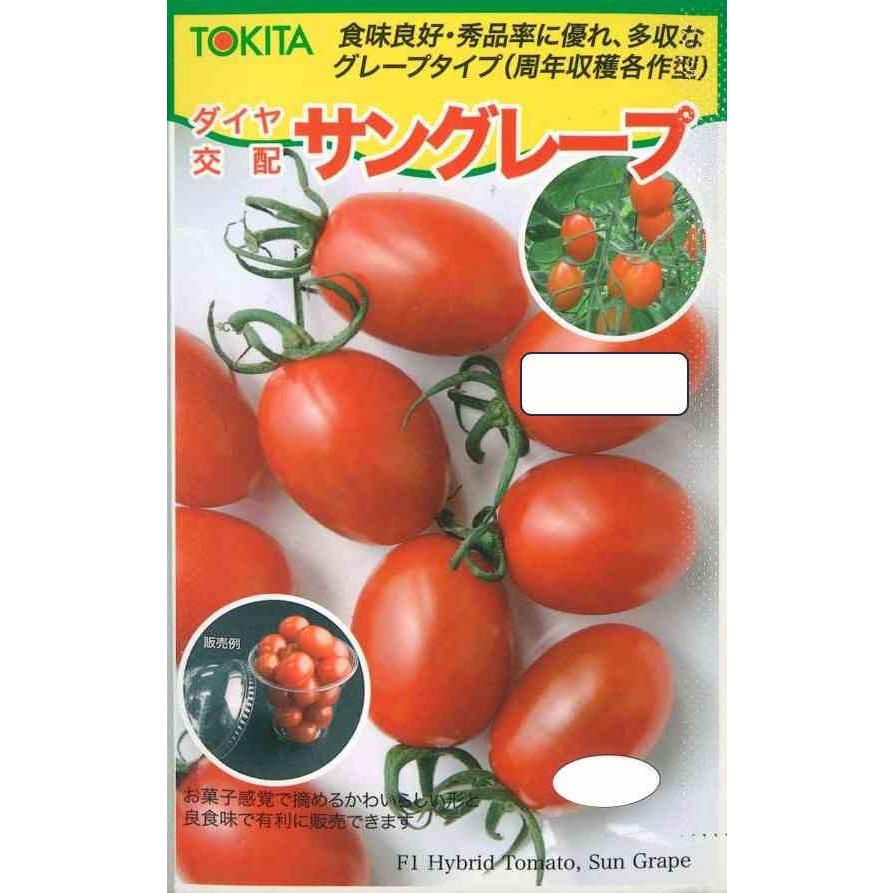 野菜種子 長円形ミニトマト「サングレープ」 10粒（トキタ種苗）【送料