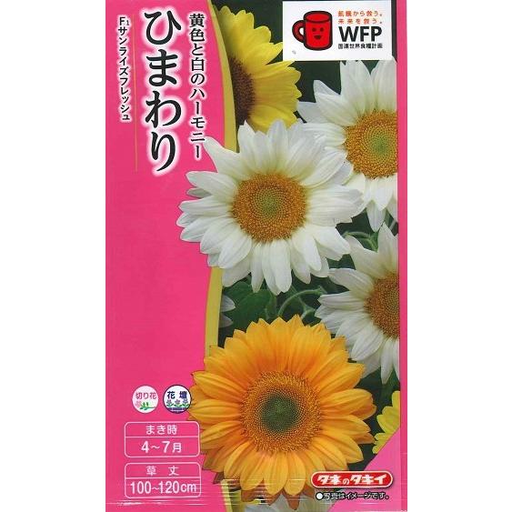 花種子 ひまわり「サンライズフレッシュ」 2ml（約10本分）（タキイ