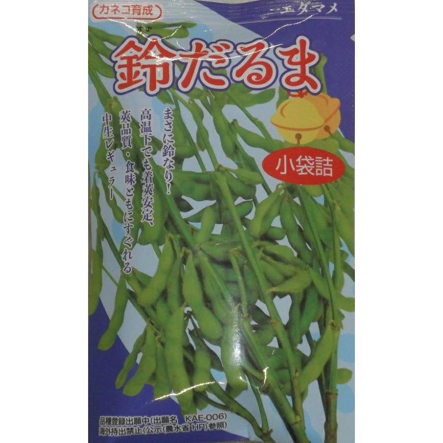 野菜種子 茶豆風味エダマメ「鈴だるま」 100粒（カネコ種苗）【送料
