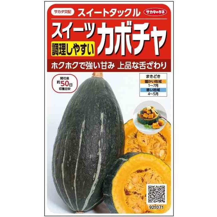 野菜種子 スイーツカボチャ「スイートタックル」 6粒（サカタのタネ