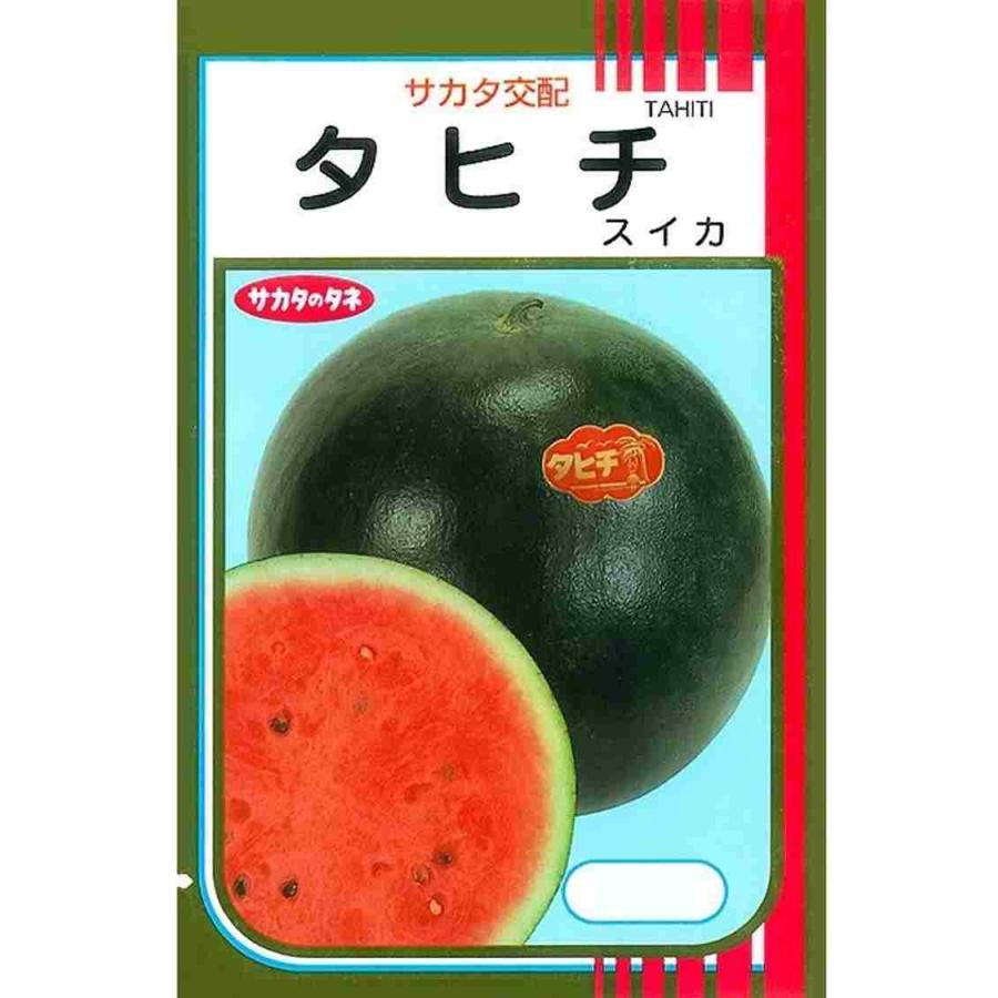 野菜種子 黒玉スイカ「タヒチ」 200粒（サカタのタネ）【送料込み