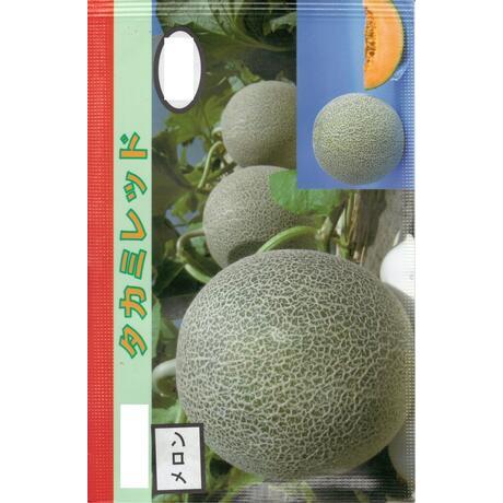 野菜種子 赤肉メロン「タカミレッド」 10粒（日本園芸生産研究所