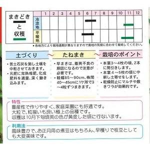 【京都・兵庫特産】野菜種子 エダマメ「丹波黒大粒大豆」 1L（タキイ種苗）【送料込み】 だんばくろ たんばぐろ 枝豆 えだまめ 晩生 野菜 やさい 種 家庭菜園の画像