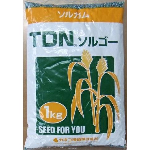 牧草種子 ソルガム「TDNソルゴー」 1kg（カネコ種苗）【送料込み】 たかきび タカキビ あまきび アマキビ 防風・ドリフト利用 : 鈴乃園 ...