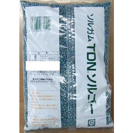 牧草種子 ソルガム「TDNソルゴー」 20kg（カネコ種苗）【送料込み