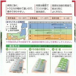 野菜種子 春ダイコン「トップランナー」 2dl（タキイ種苗）【送料込み】 とっぷらんなー 淡緑首 春大根 はるだいこん 土壌適応性 低温伸長性の画像