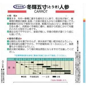 野菜種子 超冬五寸ニンジン「冬輝五寸」 2dl（丸種）【送料込み】 野菜 やさい 種 たね とうきごすん 五寸人参 にんじん キャロット 家庭菜園の画像