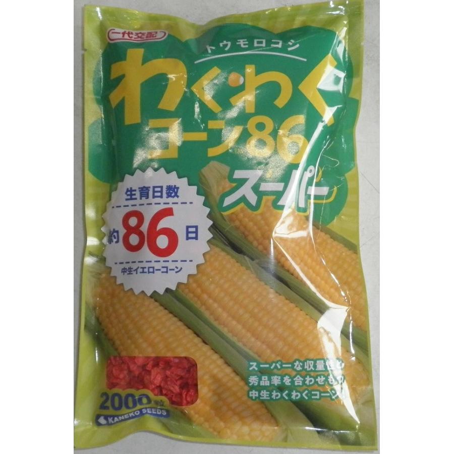 野菜種子 トウモロコシ「わくわくコーン86スーパー」 2,000粒（カネコ