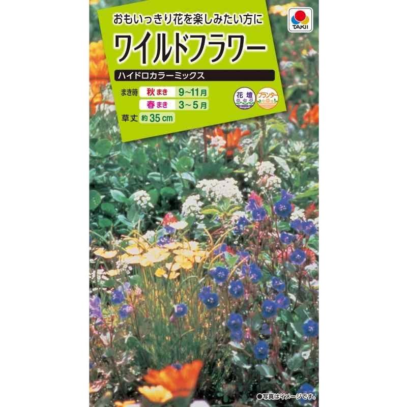 花種子 ワイルドフラワー「ハイドロカラーミックス」 15ml（タキイ種苗