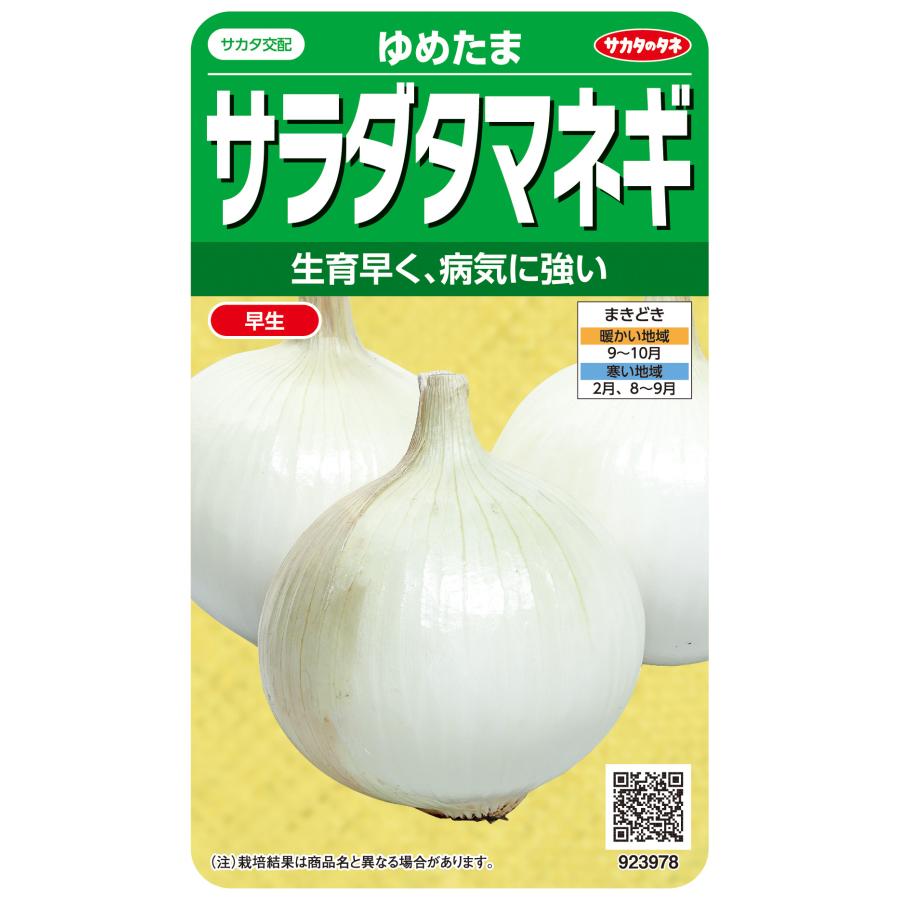 野菜種子 サラダタマネギ「ゆめたま」 2ml（サカタのタネ）【送料込み】 ユメタマ 玉葱 玉ネギ 玉ねぎ さらだたまねぎ 大玉 早生（Yahoo!・鈴乃園 Yahoo!ショッピング店）
