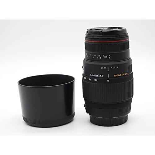 SIGMA 望遠ズームレンズ APO 70-300mm F4-5.6 DG MACRO シグマ用