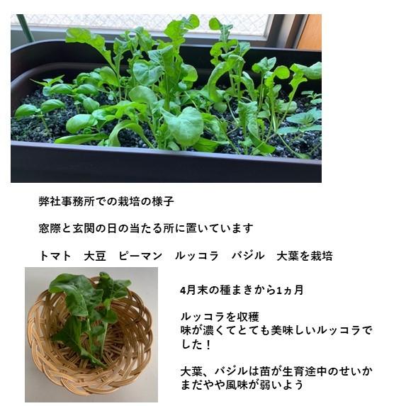 ファイバーソイル リサイクルフェルト培地 水耕栽培 ガーデニング ウエスの鈴六 通販 Yahoo ショッピング