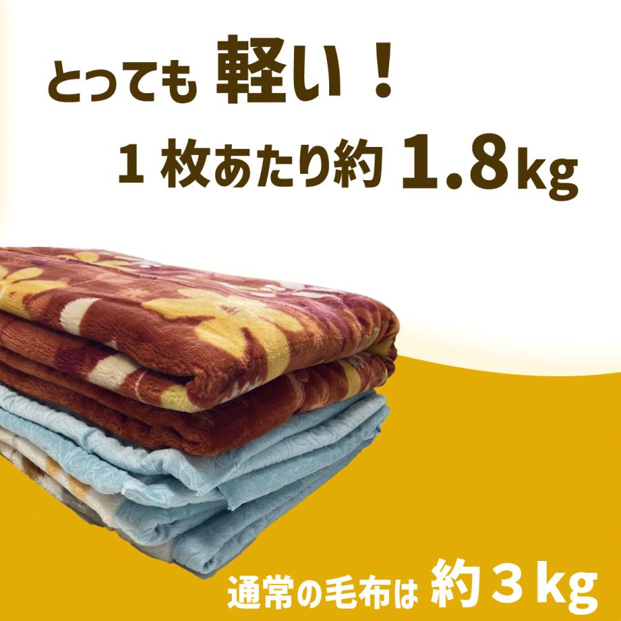 西川毛布 2枚】 シングル140×200 軽くて暖かい マイヤー毛布
