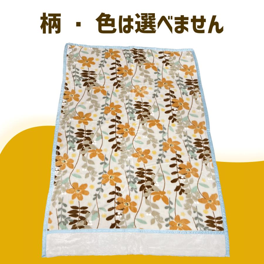 西川毛布 2枚】 シングル140×200 軽くて暖かい マイヤー毛布