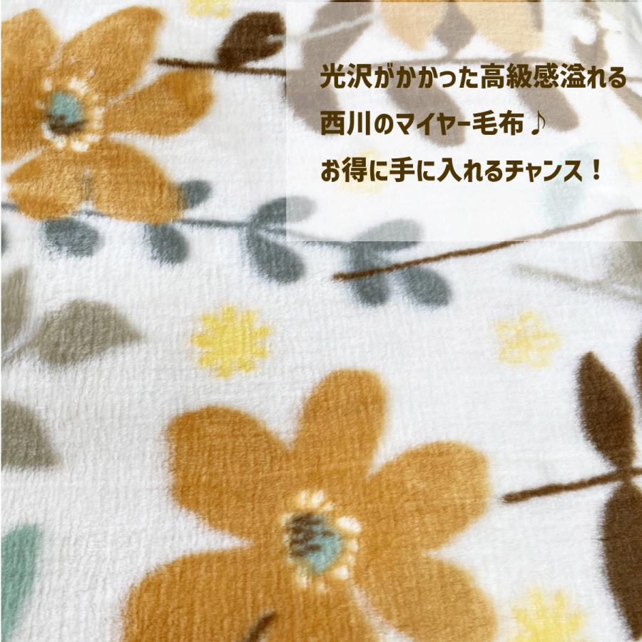 西川毛布 2枚】 シングル140×200 軽くて暖かい マイヤー毛布