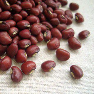 種・種子 令和8年度産 国産 新物ささげ 2kg