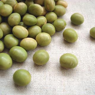 秘伝豆 1kg 年 山形県産 青大豆 例年より粒が小さくなっております Hidensp1kg 豆 雑穀の専門店 すずや 通販 Yahoo ショッピング