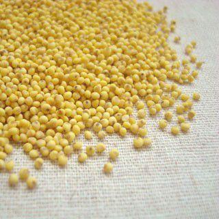 いなきび 150g 2025年産 令和7年産 岩手県産 : 豆・雑穀の専門店 すずや - 通販 - Yahoo!ショッピング