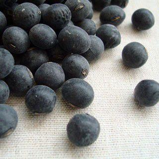 丹波黒豆 500g 2025年産 令和7年産 丹波篠山産 2L : 豆・雑穀の専門店