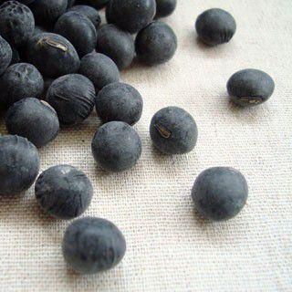 丹波黒豆 2L 500g 2025年産 令和7年産 滋賀県産 送料無料 メール便 [M