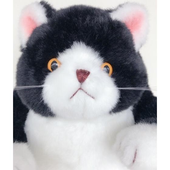 くろねこぬいぐるみ こてつ 太っちょ黒猫ぬいぐるみ 座り姿クロネコ 日本製 ギフト オリエンタルトーイ Kotetu Toys雑貨suzuya 通販 Yahoo ショッピング