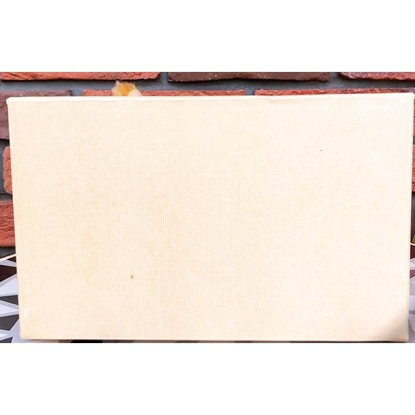 シュタイフStieff テディベア タロー 30cm EAN650864 日本限定2000体