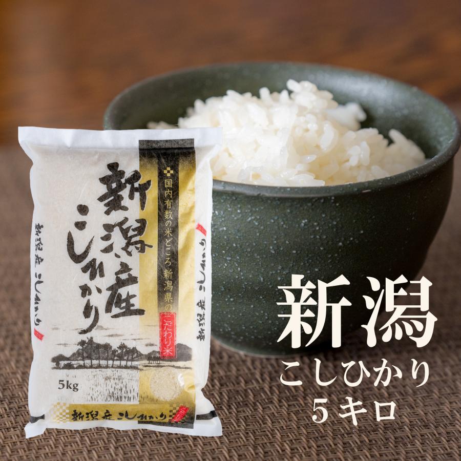 新潟県産 コシヒカリ 新米 新潟県産 5kg 令和4年産 送料無料 農家 産地
