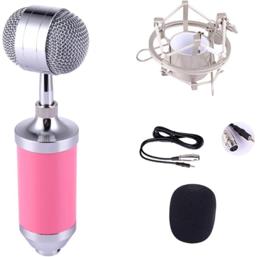人気no 1 本体 コンデンサーマイクセット ライブサウンドカードマイクセットコンデンサーマイクアンカーコンピューターコンデンサーマイクyyshout マイク ピンク 並行輸入品 Hfayb08kxyc4zgk Svajones 通販 Yahoo ショッピング 完売 Blog Lonolife Com