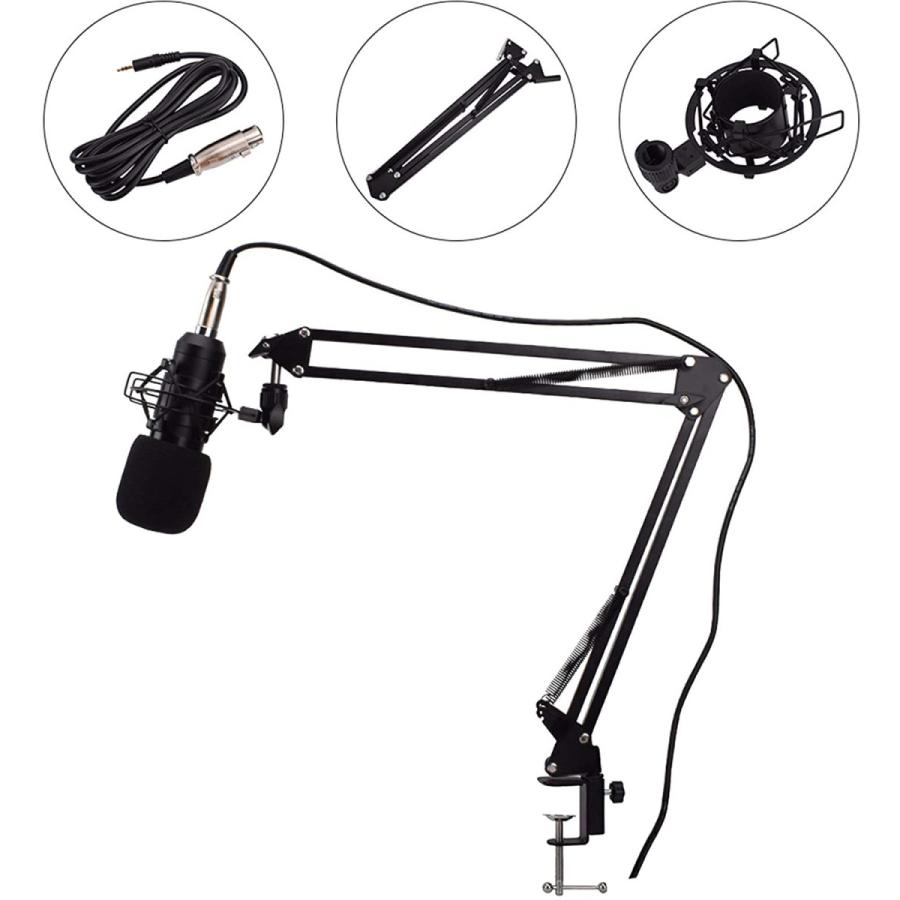 残りわずか Kannore Zheyang Live Audio Bm 800 All Black Series Set Equipment Condenser Microphone 35 Type Alloy Stand Metal Shock Proof Frame 2 5m Audio Cable Us 日本産 Mediquicklab Com