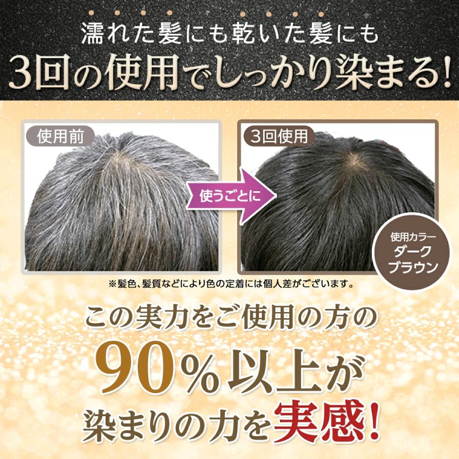 レフィーネ 【公式】白髪染め お試し ヘッドスパ トリートメントカラー
