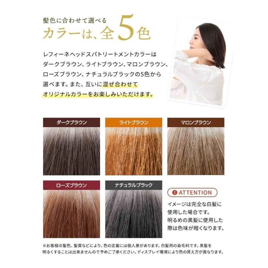 送料無料 白髪染め レフィーネ ヘッドスパ トリートメント カラー 300g 2本 ヘアカラー 大特価 ポンプ付 セット カラートリートメント 白髪 全体染め