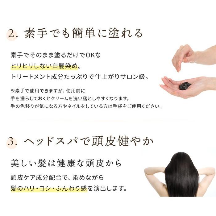 送料無料 白髪染め レフィーネ ヘッドスパ トリートメント カラー 300g 2本 ヘアカラー 大特価 ポンプ付 セット カラートリートメント 白髪 全体染め