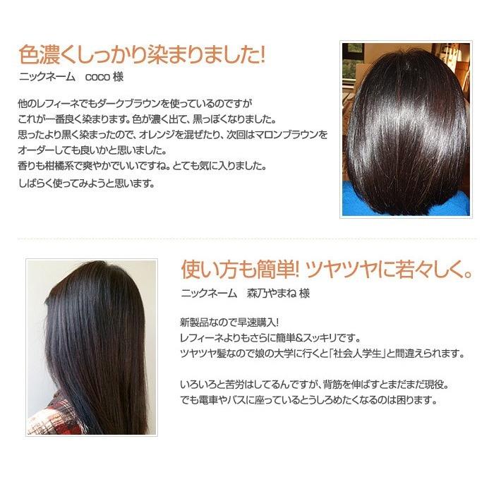 レフィーネ白髪染め3本セット レフィーネ 白髪染め ヘッドスパ トリートメントカラー 300g R3 ポンプ