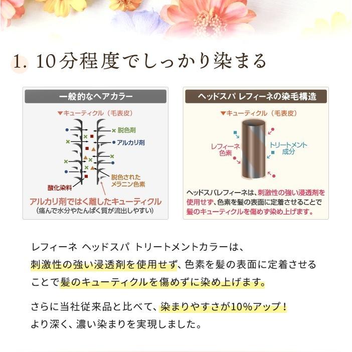レフィーネ 白髪染め ヘッドスパ トリートメントカラー 300g R3 ポンプ