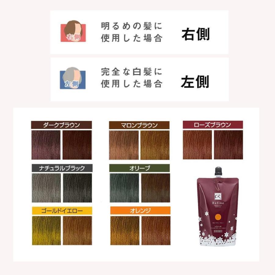 白髪染め レフィーネ ナチュラル カラートリートメント 300g 2本セット 白髪染 白髪染めトリートメント カラートリートメント おすすめ 女性用 男性用 | レフィーネ | 10