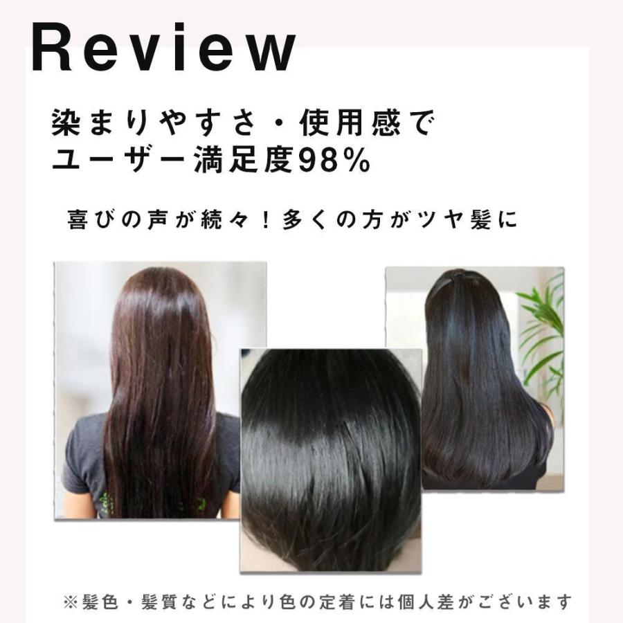 レフィーネ 白髪染め ナチュラル カラートリートメント 300g 2本