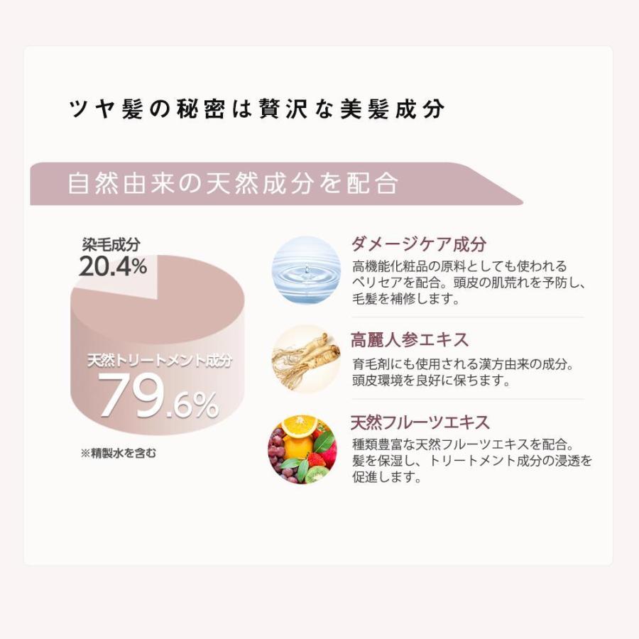 白髪染め レフィーネ ナチュラル カラートリートメント 300g 2本セット 白髪染 白髪染めトリートメント カラートリートメント おすすめ 女性用 男性用 | レフィーネ | 14