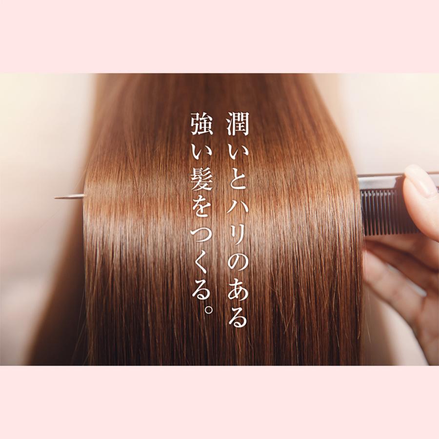 ザ・チャーガ ヘアリートメント250g ローズの香り ノンシリコン トリートメント 無添加 オーガニック ダメージ 保湿 しっとり 頭皮ケア 女性 男性 子供 おすすめ | レフィーネ | 05